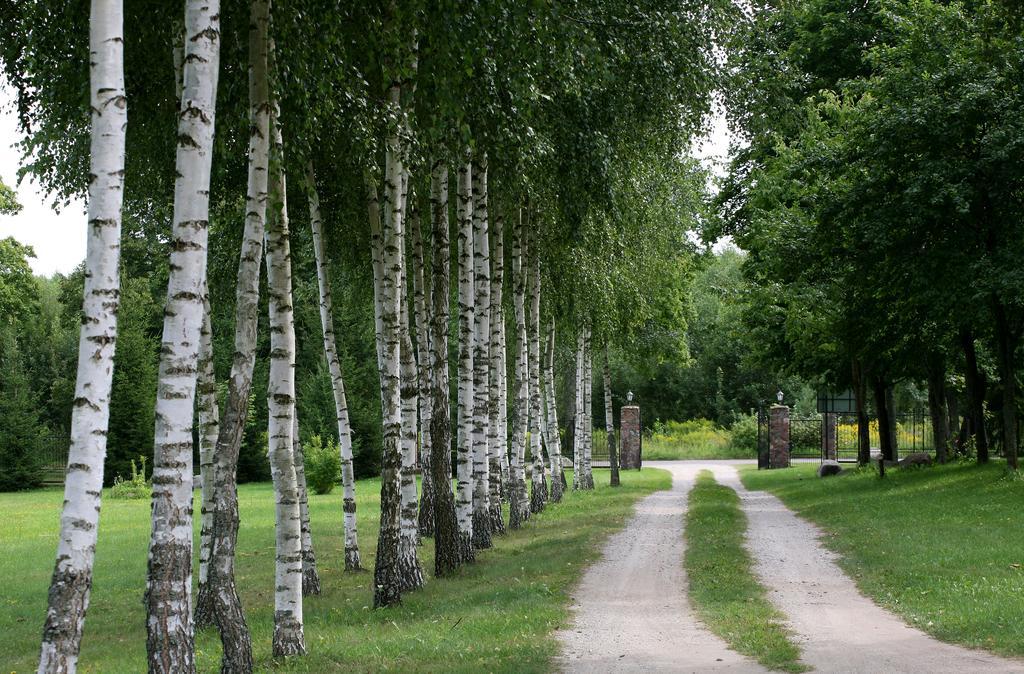 Villa Mamry Węgorzewo Buitenkant foto